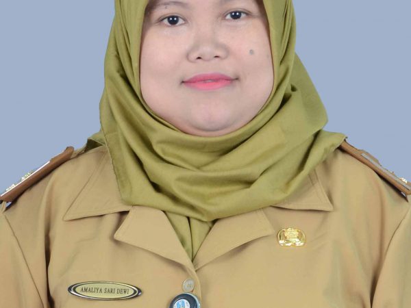 Amaliya Sari Dewi, SE.
